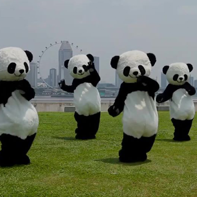 Big Beat Entertainment -Party Dance Pandas